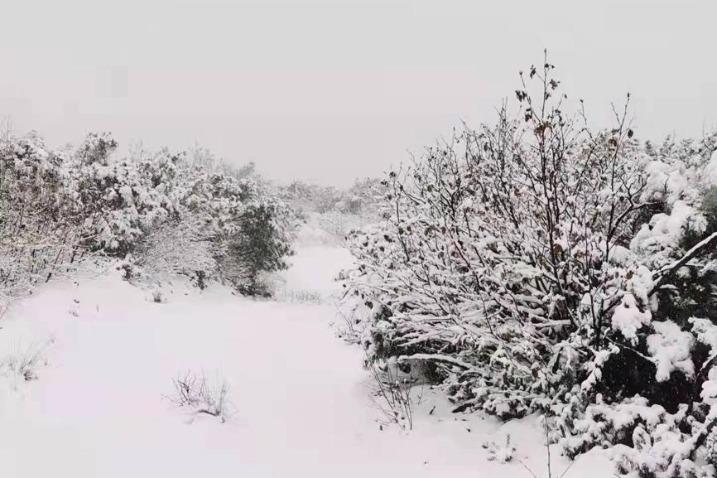 Heilongjiang receives its first snow of the season