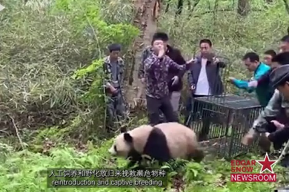 Key UN biodiversity conference to open in SW China