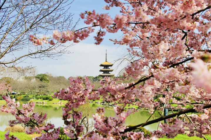 Central China's Wuhan to build 80 wetland parks over 5 years