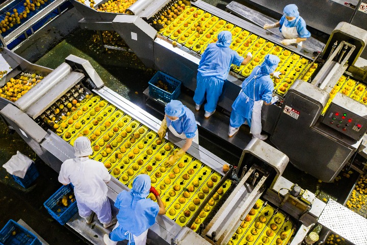 Foreign trade of China's Hubei jumps in first eight months