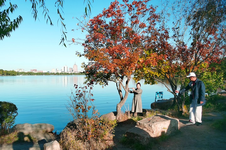 Red maple leaves herald arrival of autumn in NE China