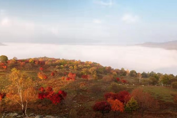 Grassland resembles oil painting in NE China