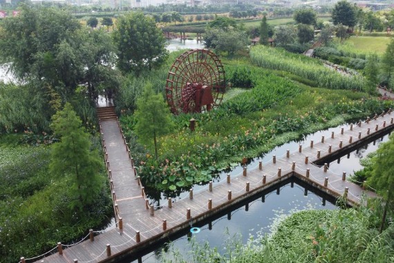 China holds World Environment Day event