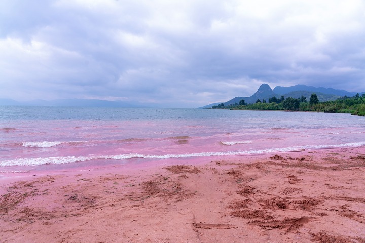 China’s only pink beach becomes viral destination