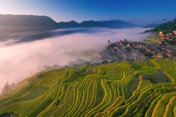 Picturesque views of terrace fields in SW China