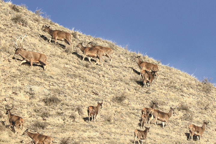 Five criteria for national parks revealed