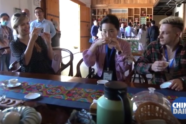 Expats experience Chinese tea culture in Liubao town