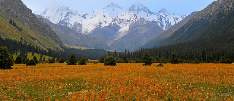 The Zhaosu Grasslands