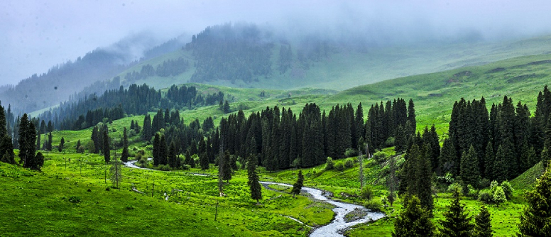 The Tangbula Grasslands