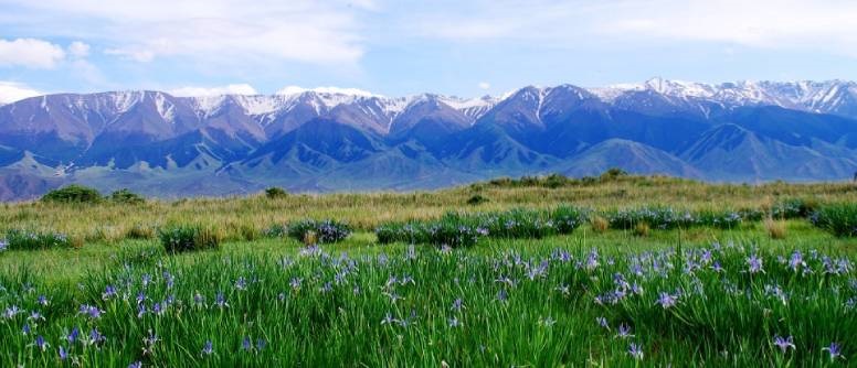 The Balikun Grasslands