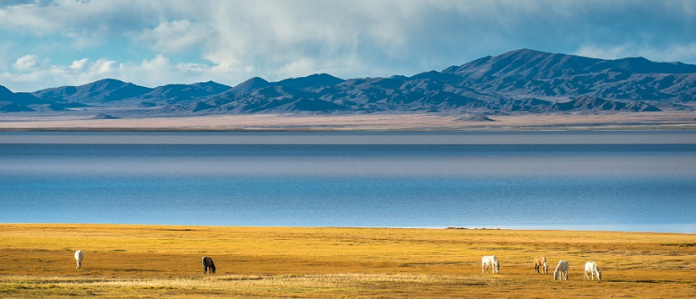 The Qiangtang Grasslands