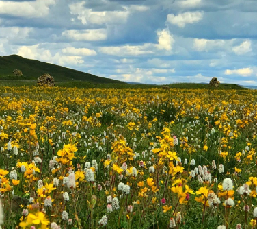 Maoya Grand Grasslands