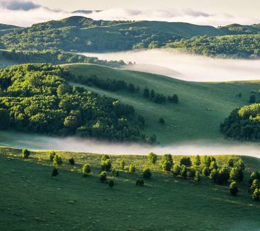 Ulan Butung Grasslands