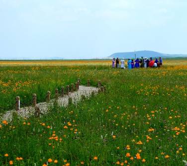 Xiliin Gol Grasslands