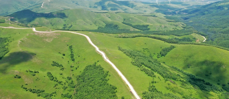 Fengning Bashang Grasslands