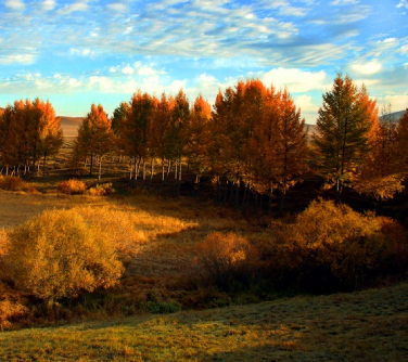 Mulan Paddock Bashang Grasslands
