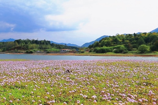 Lake surrounded by flowers in E China