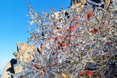 New coating of ice dresses up Qingdao