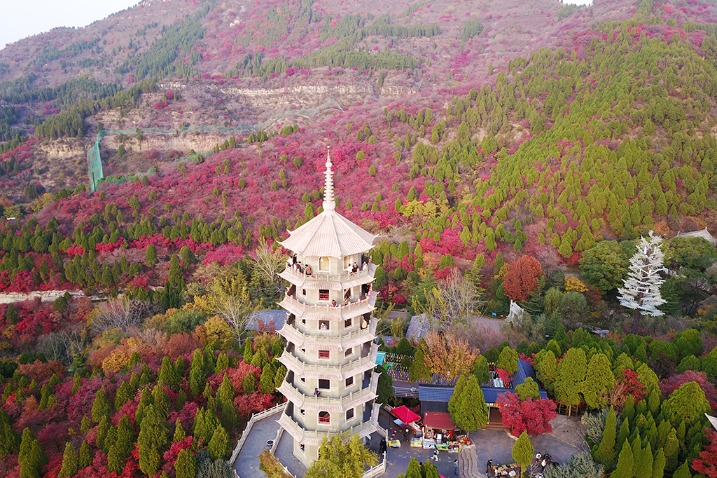 Red Leaf Valley resembles sea of red in early winter