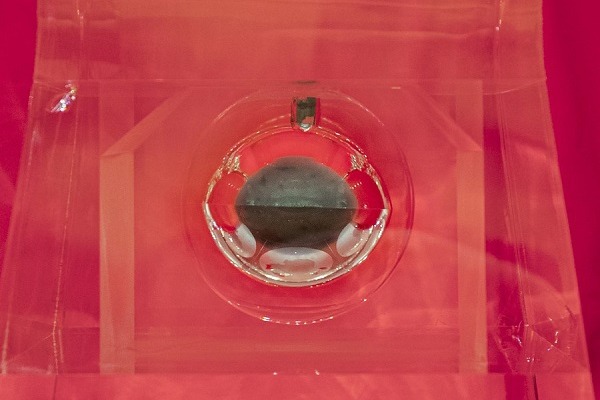 Chinese institutions to receive 2nd batch of lunar samples for research