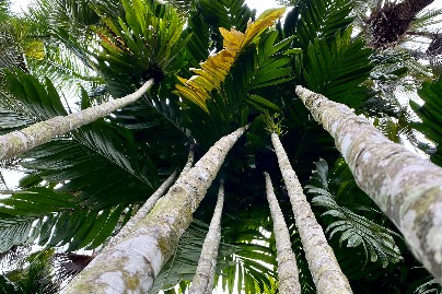 What makes Xishuangbanna one of the best regions to visit in 2022?