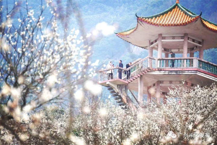 National forest park in Conghua wins acclaim