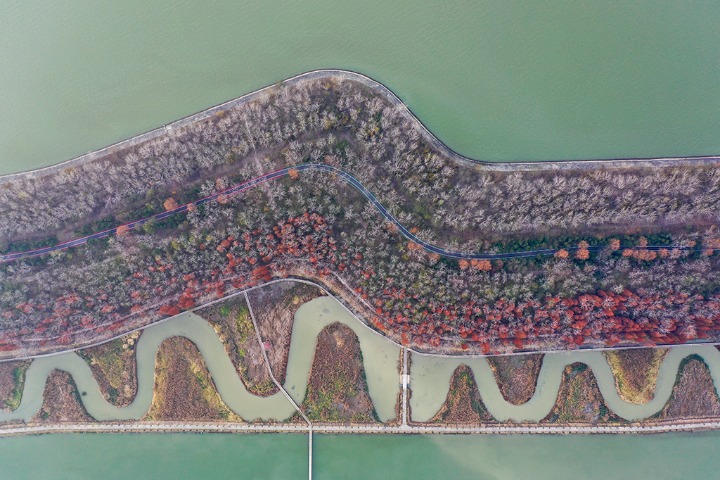 Lake dike surrounded by colorful plants in winter