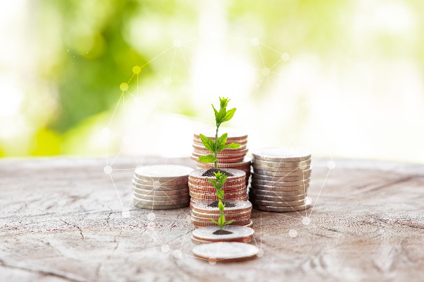 Carbon market brisker on approaching deadline