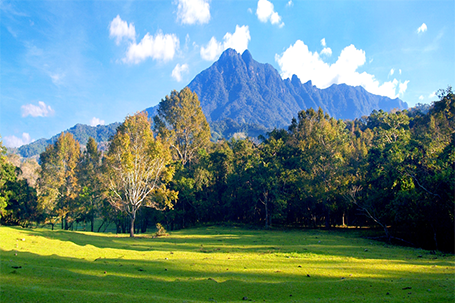 Hainan Tropical Rainforest National Park, Hainan province