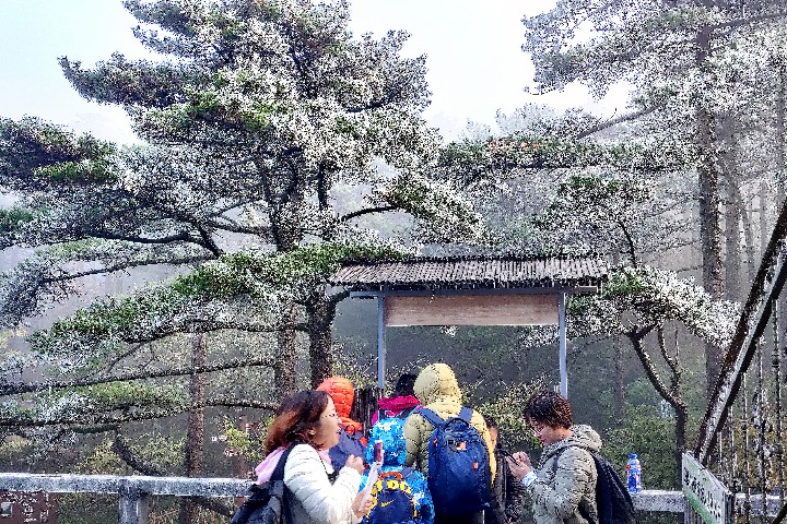 Huangshan invests in industry, talent to spur growth