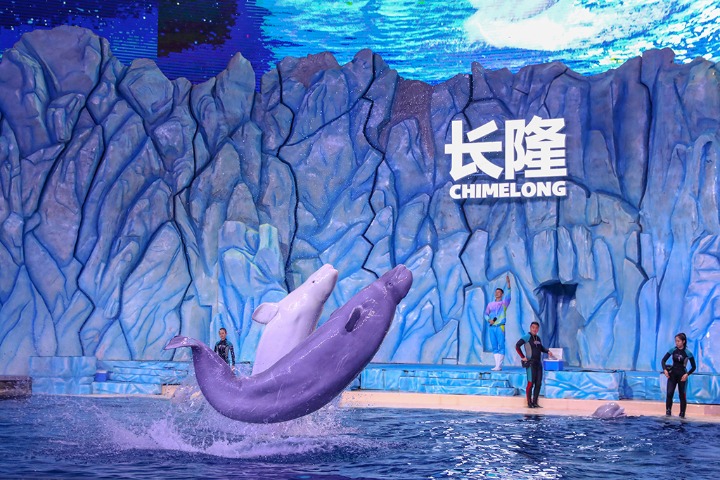 Chimelong Ocean Kingdom is waiting for you
