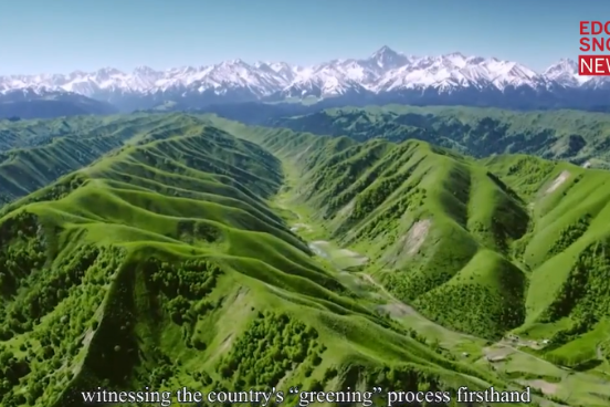 Former UN official hails China's efforts in going green