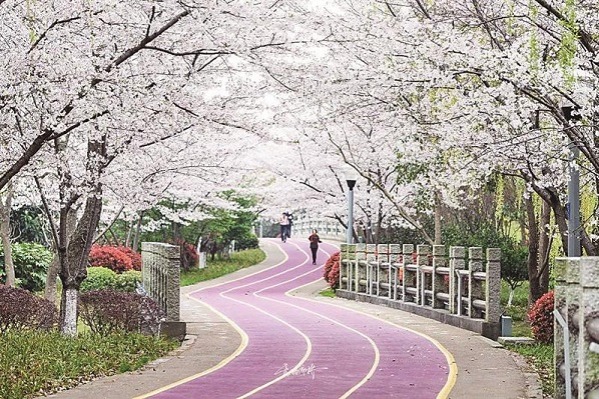 Wuxi introduces 10 'worth visiting places on the doorstep'