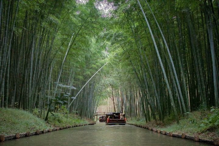 National wetland parks expanding
