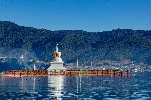 Wetland showcases gorgeous scenery in winter