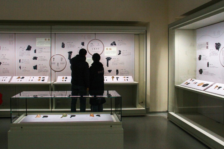 Oracle bone scripts on view in Shandong exhibit, a lookback at Chinese history