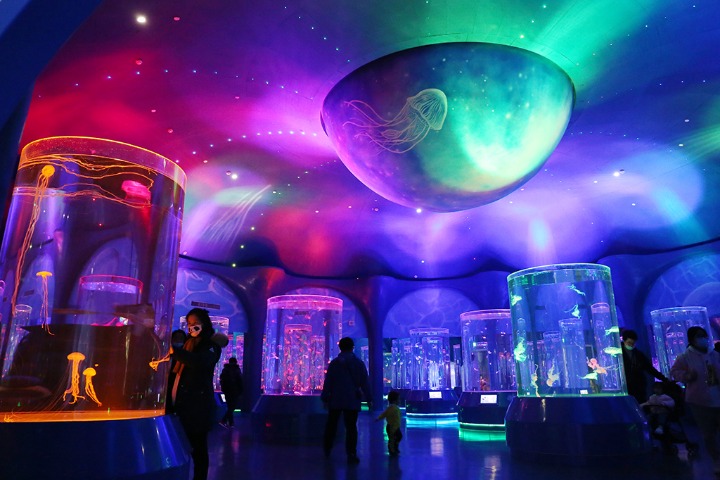 Marine fish, corals beckon visitors to Shanghai’s ocean park