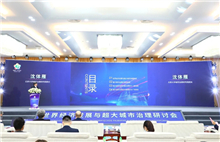 GDD seminar spotlights megacity governance