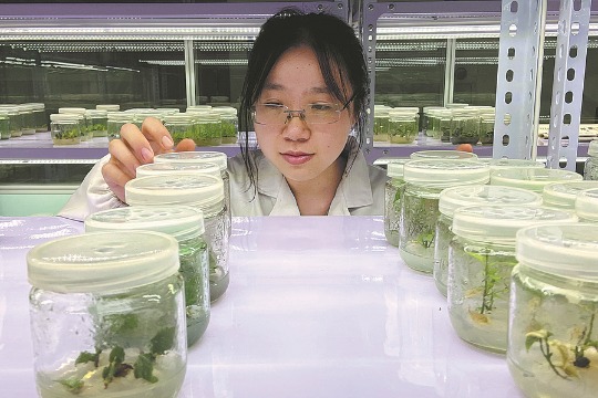 Efforts pay off on saving endangered plant species