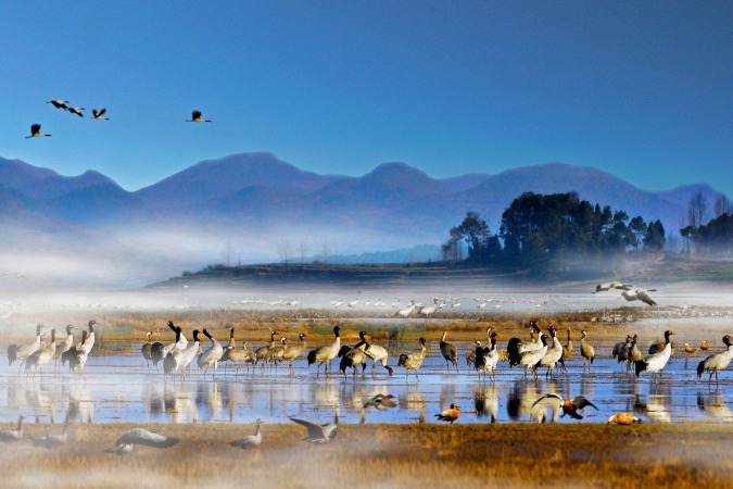Caohai Lake: Crown jewel of Guizhou