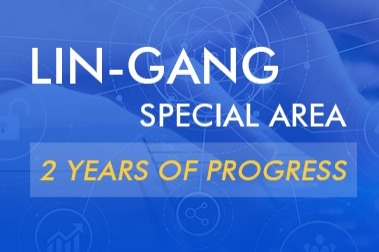 Lin-gang Special Area – 2 years of progress