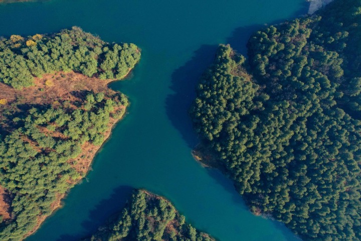 Guizhou improves forest coverage rate