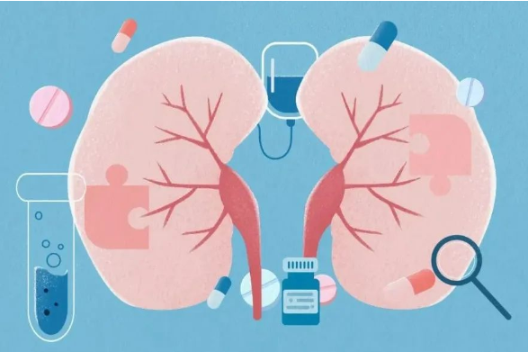 Keep your kidneys healthy