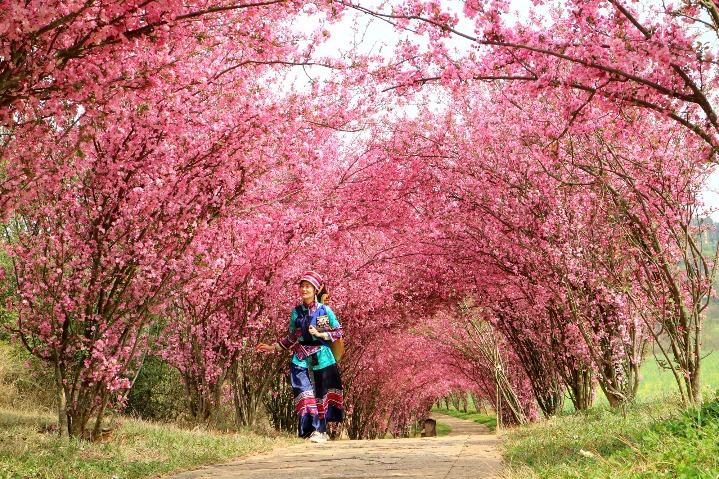 Stone Forest turns on spring color