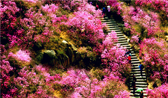 Dazhu Mountain Scenic Area