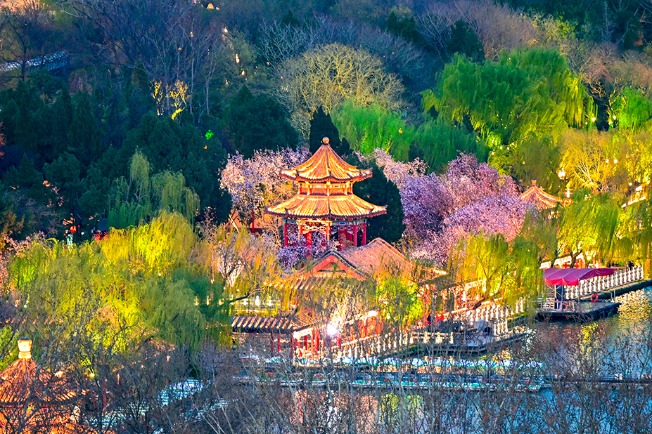 Chinese flowering crabapples bloom around Daming Lake