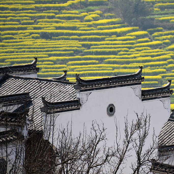 Wuyuan county, Jiangxi province