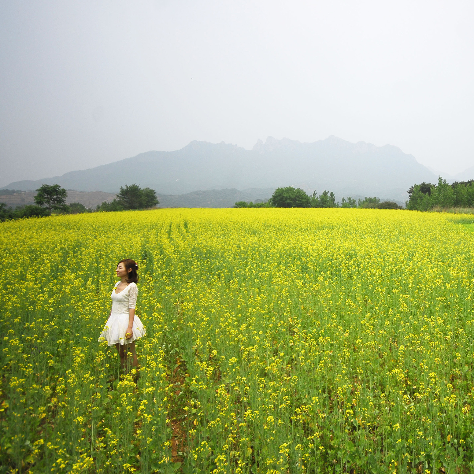 Beizhuang town, Miyun district, Beijing