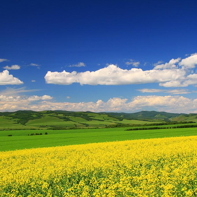 Hulunbuir, Inner Mongolia autonomous region