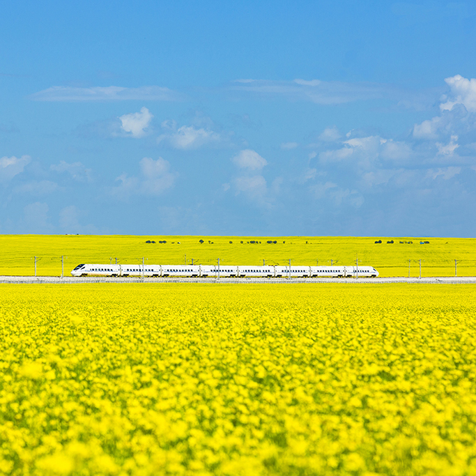 Menyuan Hui autonomous county, Qinghai province